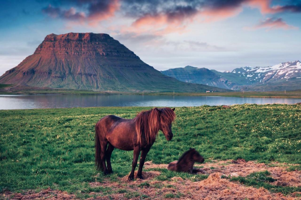 Experience Beautiful Iceland Villa Ólafsvík Exterior foto