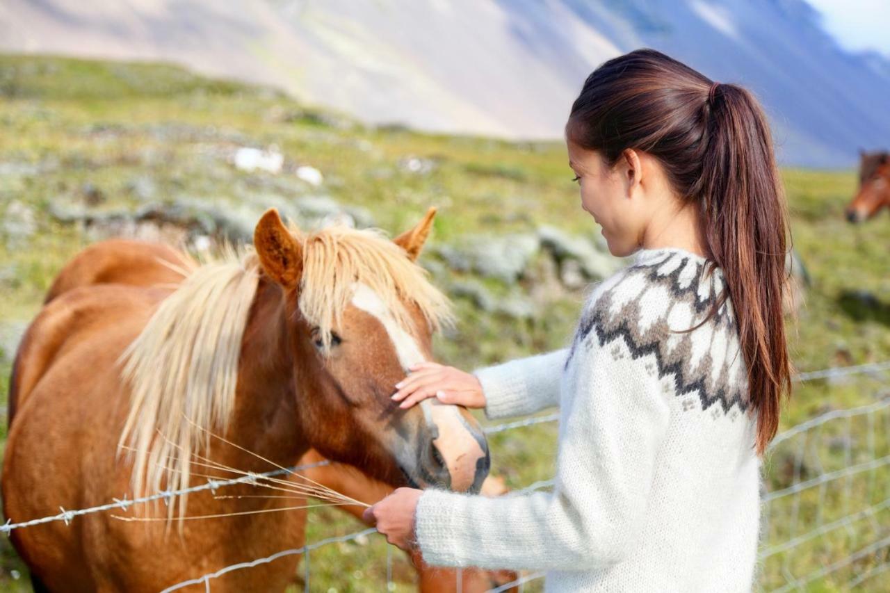 Experience Beautiful Iceland Villa Ólafsvík Exterior foto